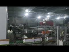 آلة تغليف الكرتون، آلة تحليل الصفائح الروبوتية