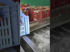 آلة غسل الفواكه والخضروات من نوع الفقاعة ، يمكن تخصيص قدرة الإنتاج