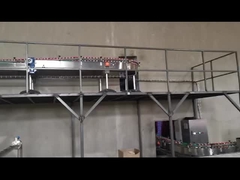 خط إنتاج معجون الطماطم