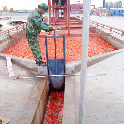 Tomato Sauce And Paste Making Production Line Brix Of Finished Products Capacity Customized