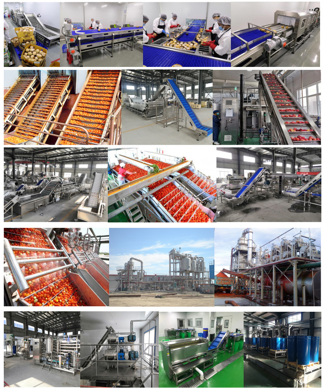 Tomato Sauce And Paste Making Production Line Brix Of Finished Products Capacity Customized
